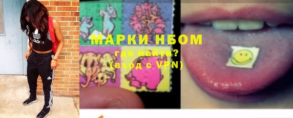 шишки Абаза