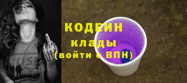 шишки Абаза