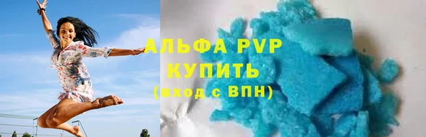 шишки Абаза