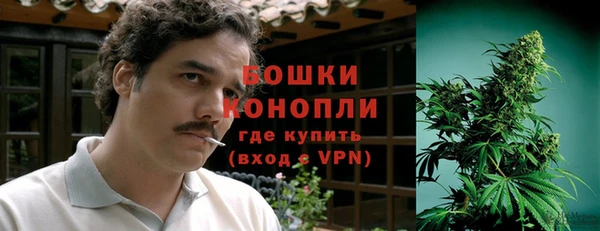 соль ск Алексин