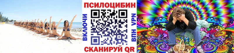 Псилоцибиновые грибы GOLDEN TEACHER Иланский