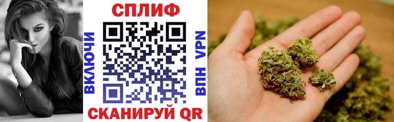 Канабис White Widow  Иланский 